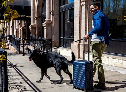 A man walks a dog while pulling a suitcase on a sunny city sidewalk.